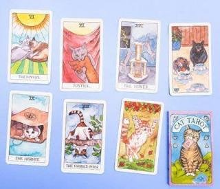 tarot gatos